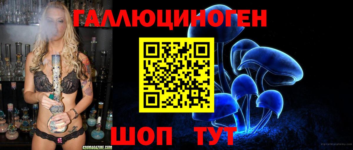 Сальск  Псилоцибиновые грибы GOLDEN TEACHER  Вход с VPN  Псилоцибиновые грибы мухоморы 