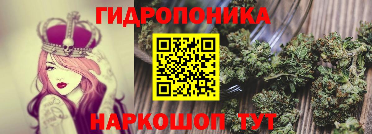 Марихуана конопля Сальск